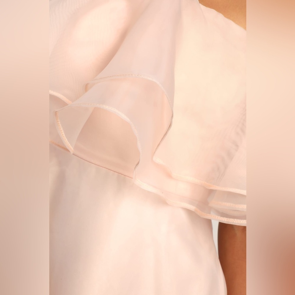 NWOT Lulus Sweet Passion Light Pink‎ Organza Maxi Dress - Picture 5 of 10
